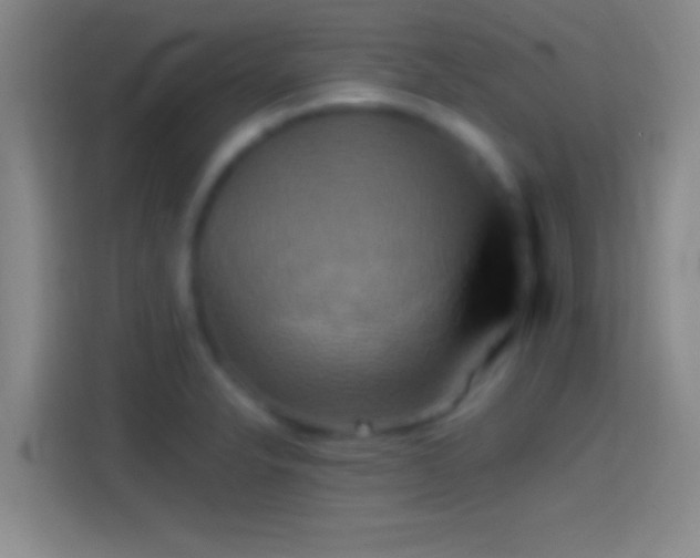 X0000114391326200910231009