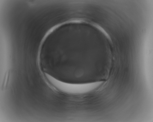 X0000114391327200910231009