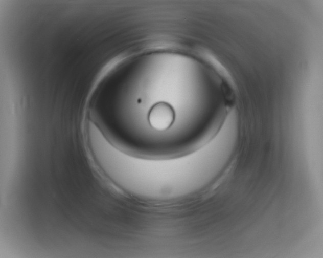X0000114391330200910231009