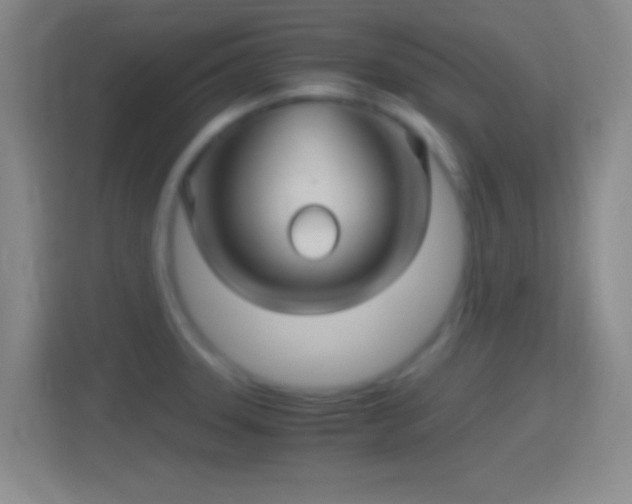 X0000114391331200910231009