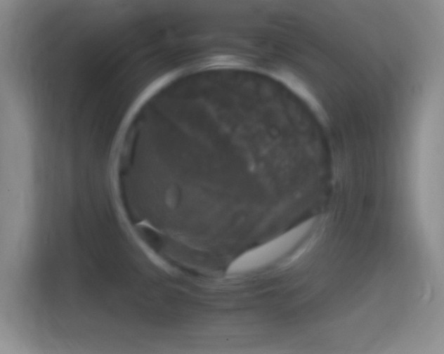 X0000114391333200910231009