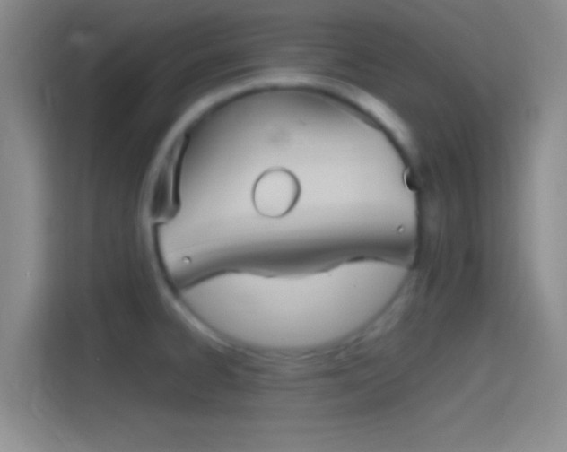 X0000114391334200910231009