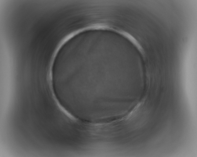 X0000114391335200910231009