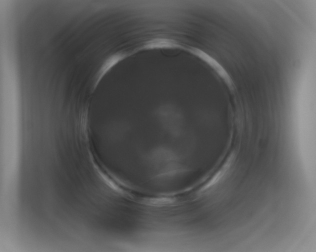 X0000114391337200910231009