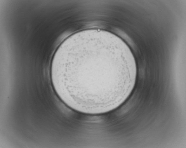 X0000114391338200910231009