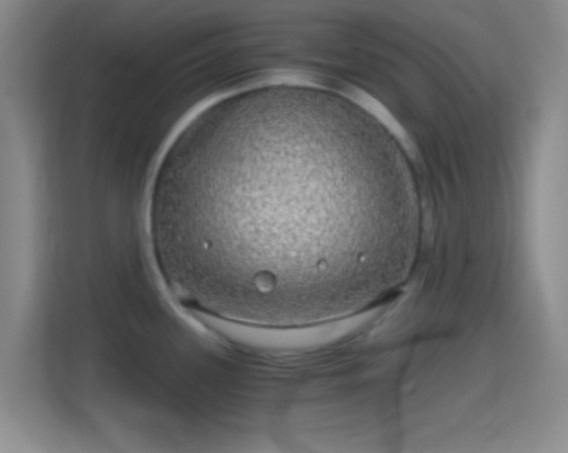 X0000114391339200910231009