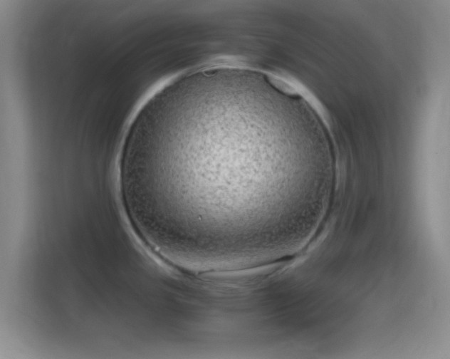 X0000114391341200910231009