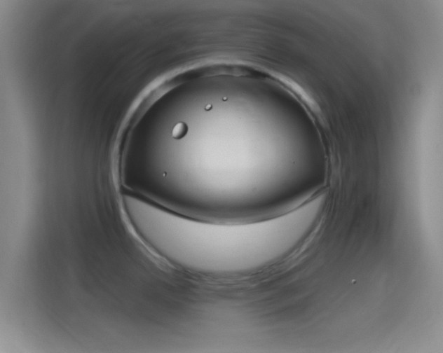 X0000114391342200910231009