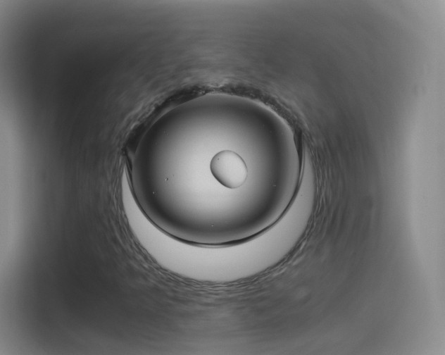 X0000114391349200910231008