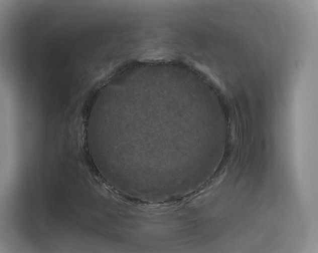 X0000114391350200910231008