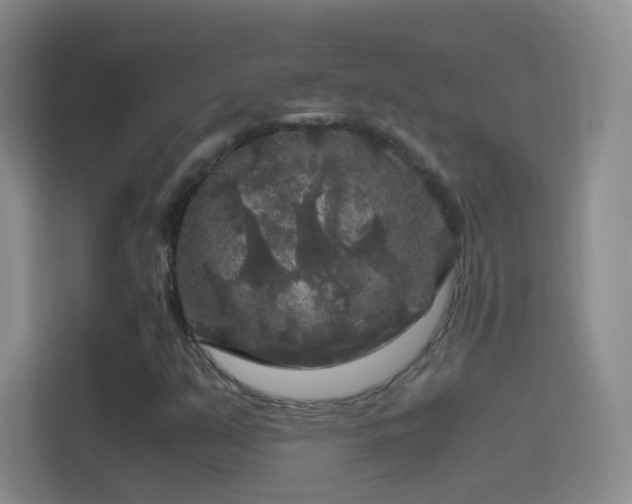 X0000114391351200910231008