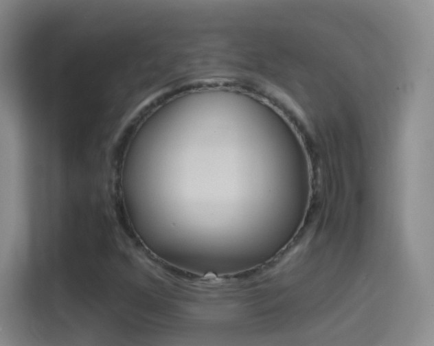 X0000114391352200910231008