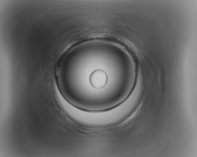 X0000114391353200910231008