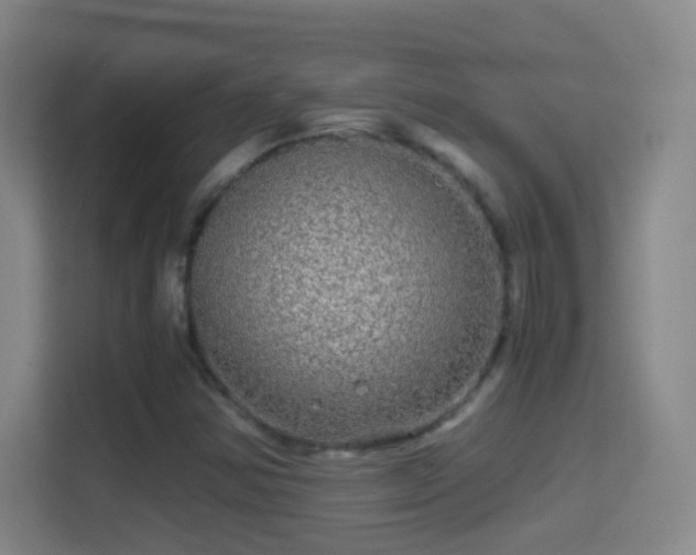 X0000114391354200910231008