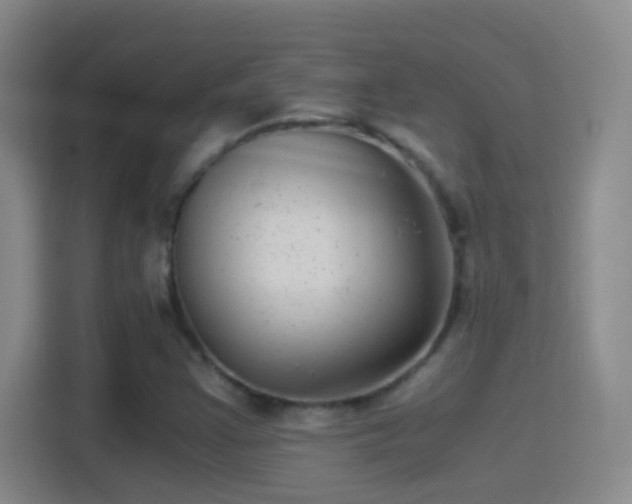 X0000114391355200910231008