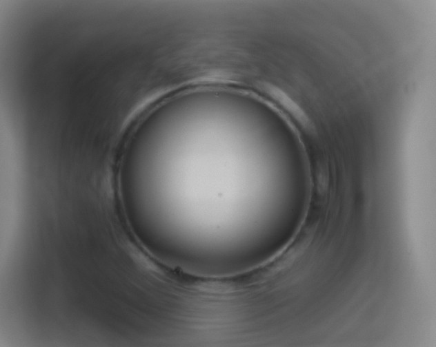 X0000114391356200910231008