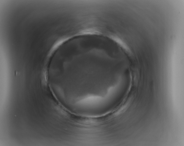 X0000114391358200910231008