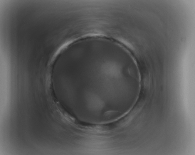 X0000114391359200910231008