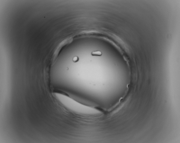 X0000114391361200910231008