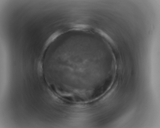 X0000114391362200910231008