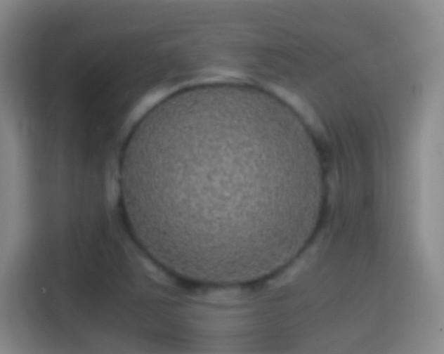 X0000114391363200910231008