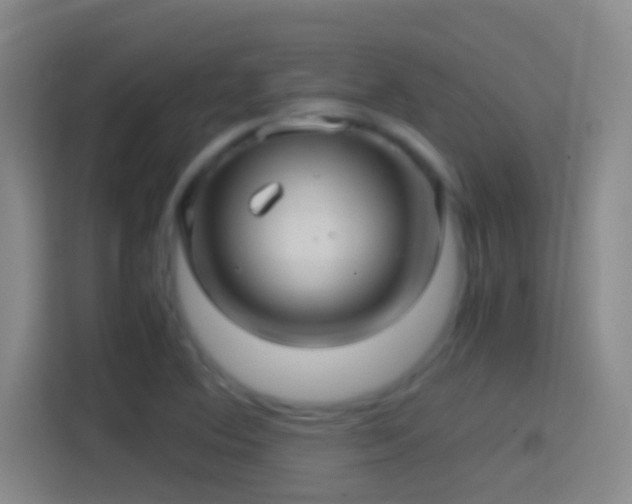 X0000114391364200910231008