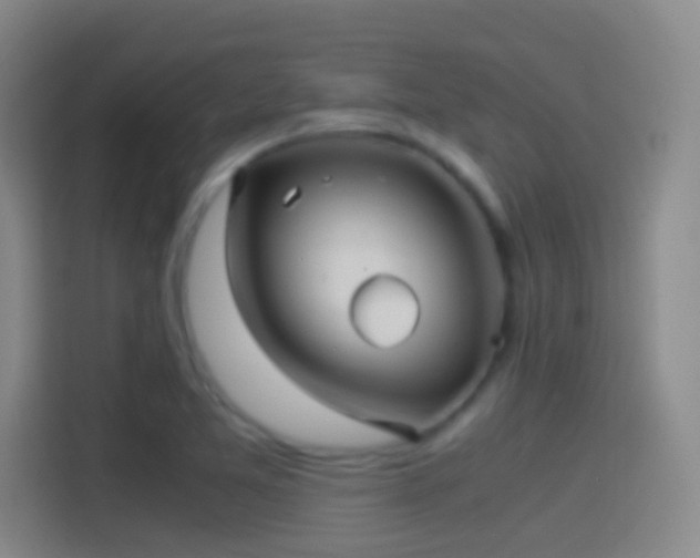 X0000114391365200910231008