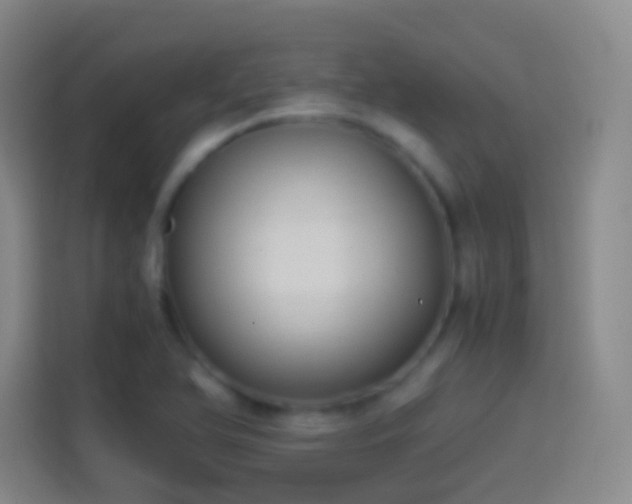 X0000114391366200910231008