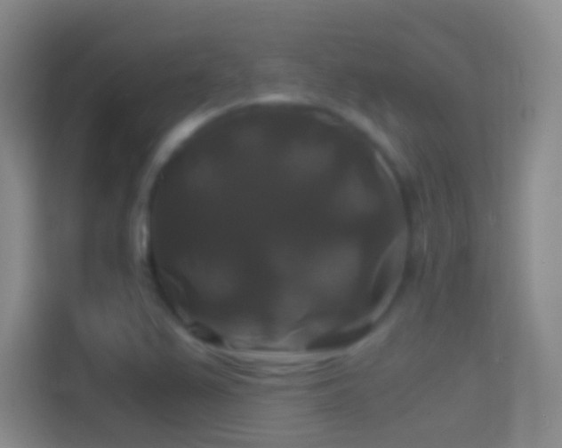 X0000114391367200910231008
