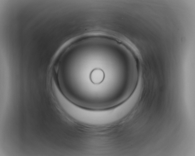 X0000114391368200910231008