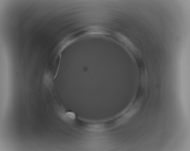 X0000114391369200910231008