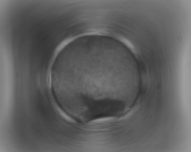 X0000114391371200910231008