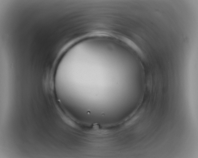 X0000114391372200910231008