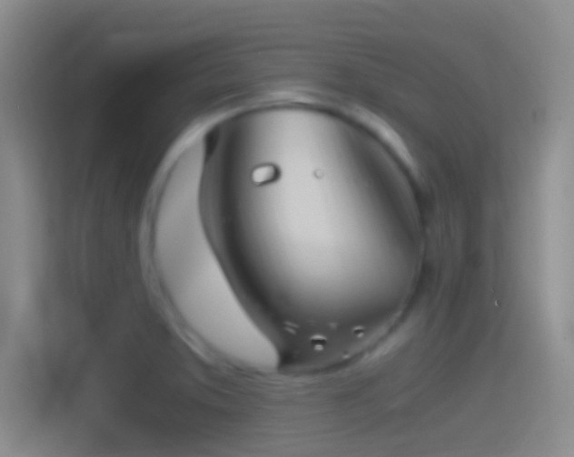X0000114391373200910231008