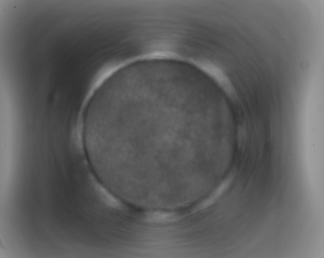 X0000114391374200910231008