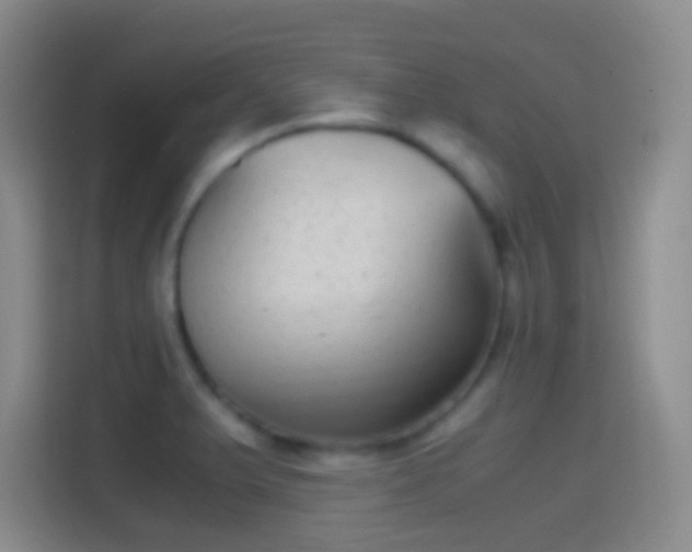 X0000114391375200910231008