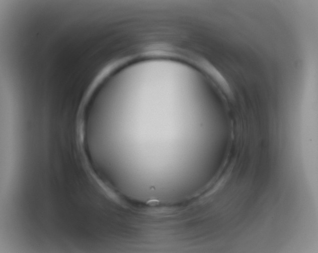 X0000114391376200910231008
