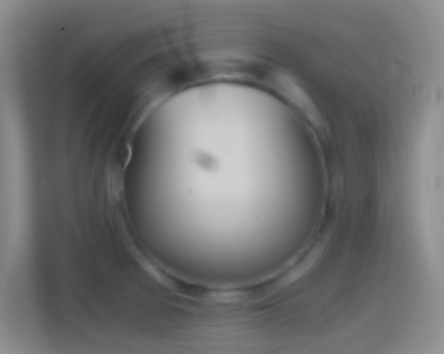X0000114391377200910231008