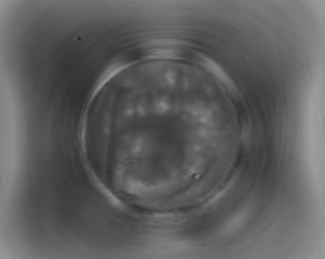 X0000114391378200910231008