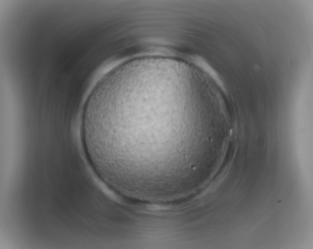 X0000114391379200910231008