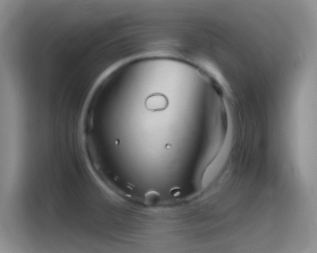 X0000114391380200910231008