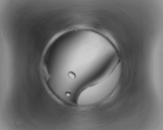 X0000114391381200910231008