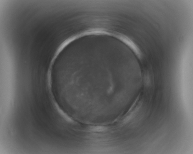 X0000114391382200910231008