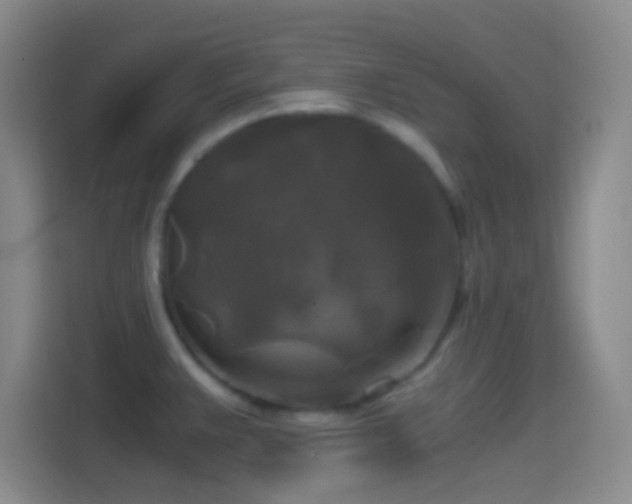X0000114391383200910231008