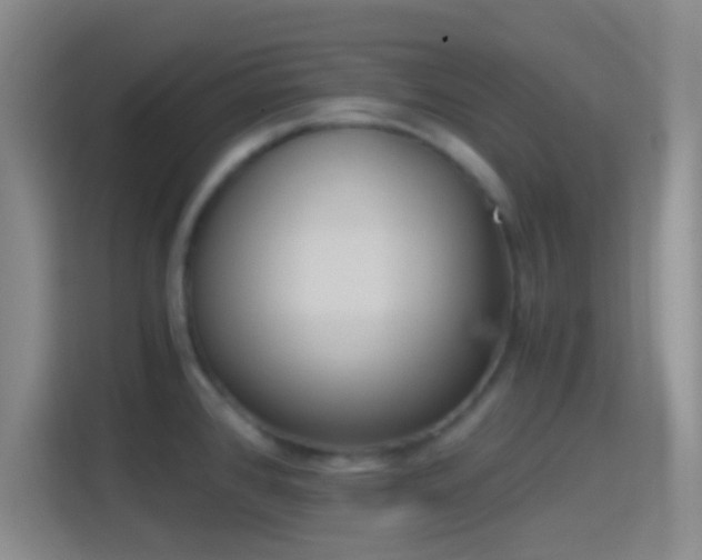 X0000114391384200910231008