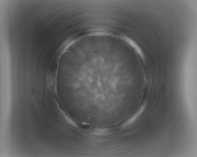 X0000114391385200910231008