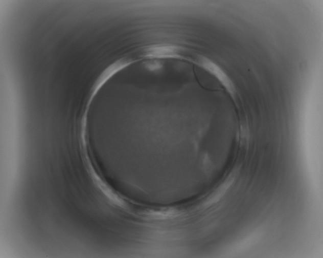 X0000114391386200910231008