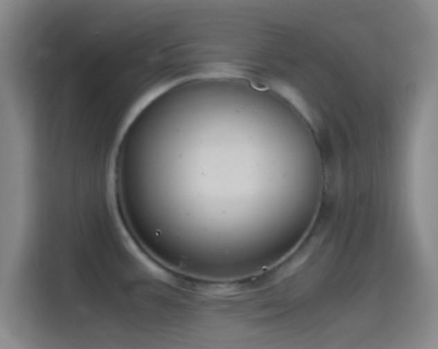 X0000114391387200910231008