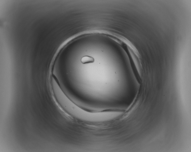 X0000114391388200910231008