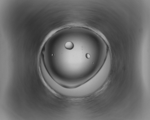 X0000114391389200910231008